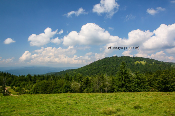/Bretcu/img_0835.jpg