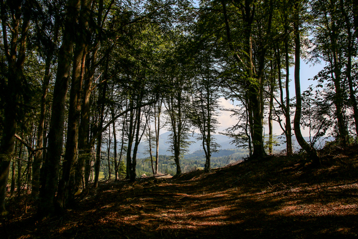 /Bretcu/img_0836.jpg