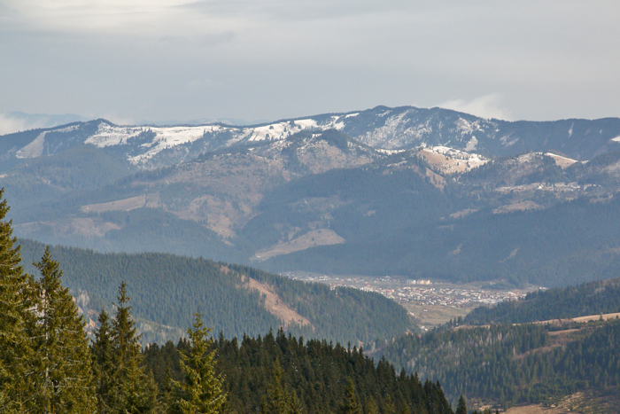 /Calimani/img_6556.jpg