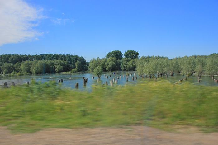 /Macin/img_3988.jpg