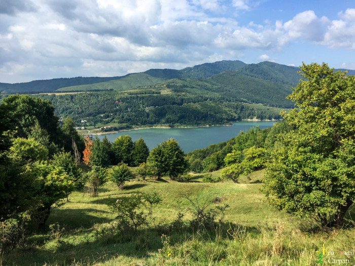 /T/img_1698.jpg