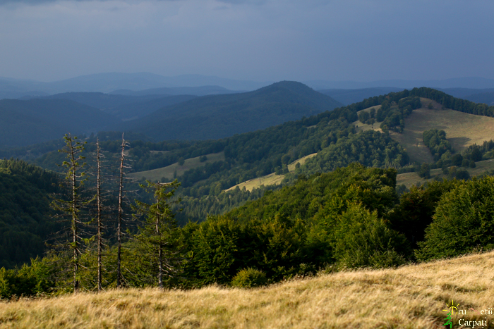 /T/img_1743.jpg