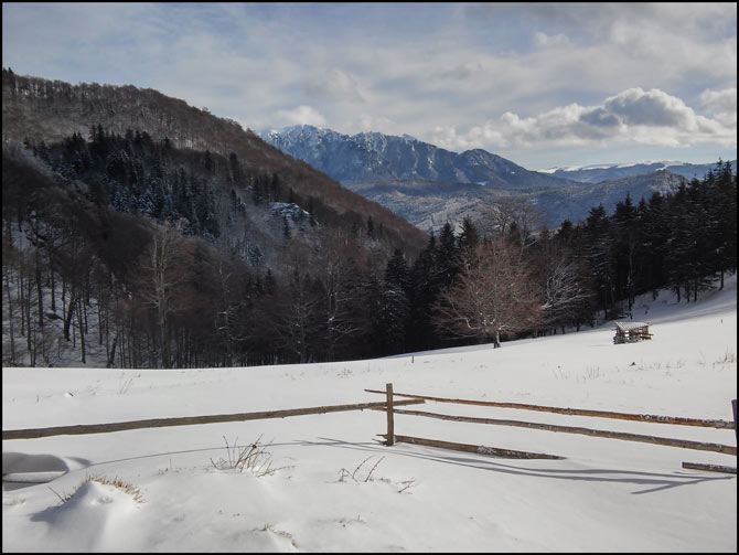 /WO/20150202_105612_hdr.jpg