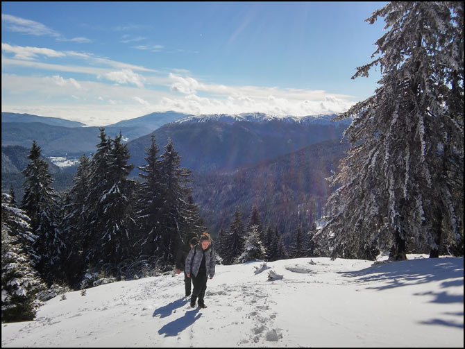 /WO/20150202_114817_hdr.jpg
