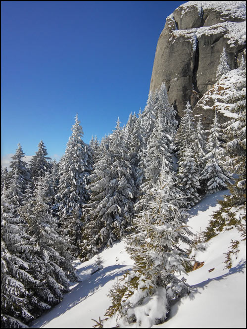 /WO/20150202_120954_hdr.jpg