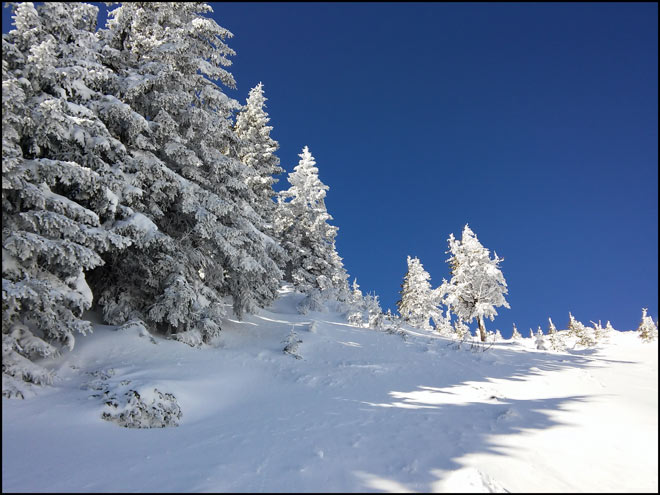 /WO/20150202_121612_hdr.jpg