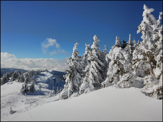 /WO/20150202_123418_hdr.jpg