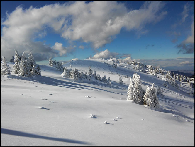 /WO/20150202_133553_hdr.jpg