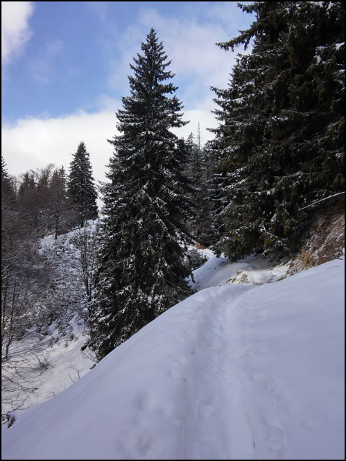 /WO/20150203_130440_hdr.jpg