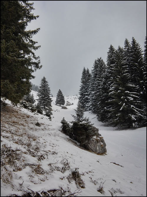 /WO/20150203_130853_hdr.jpg