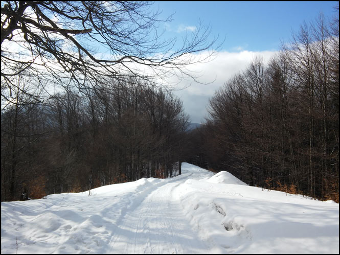 /WO/20150203_133638_hdr.jpg