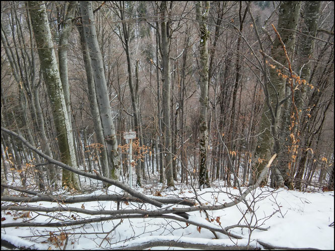 /WO/20150203_135316_hdr.jpg