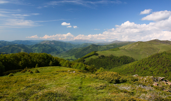 /arjana/img_1149.jpg