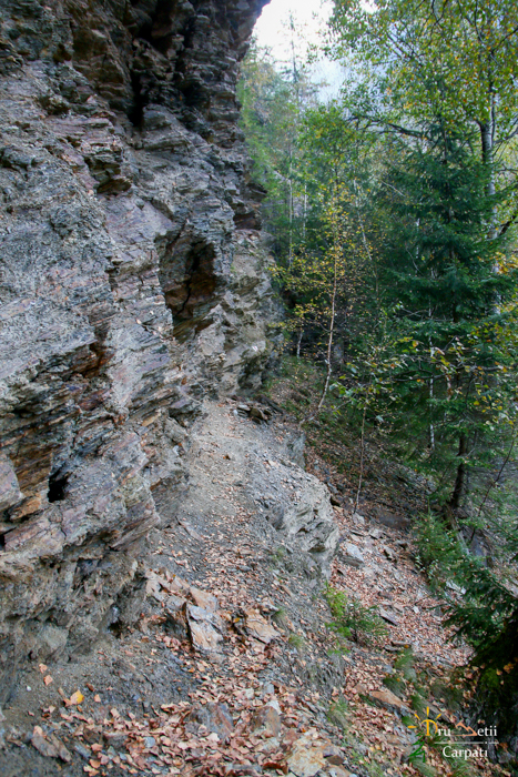 /bistritei/img_2358_2.jpg