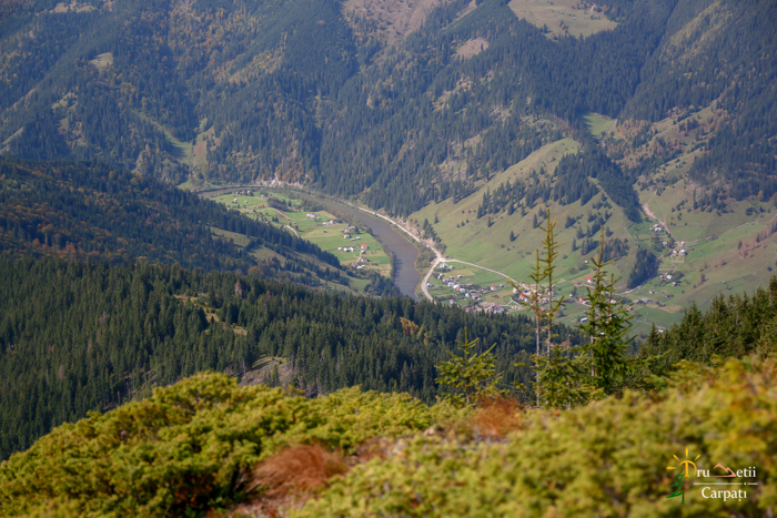/bistritei/img_2394.jpg