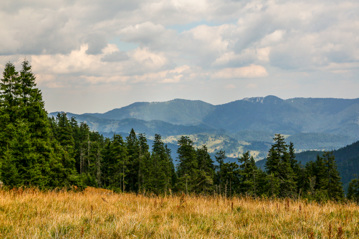 /bistritei/img_2414.jpg
