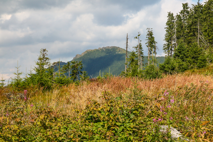 /bistritei/img_2421.jpg