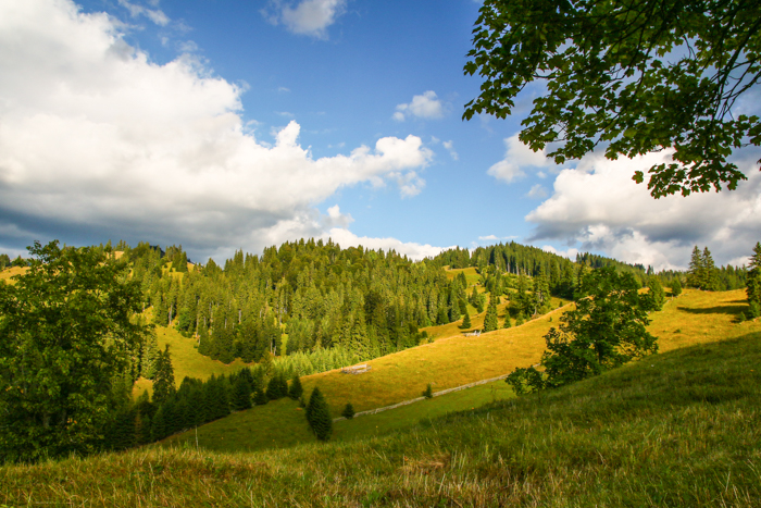 /bistritei/img_2444.jpg