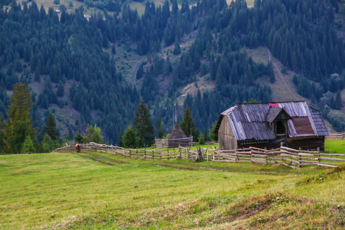 /bistritei/img_2462.jpg