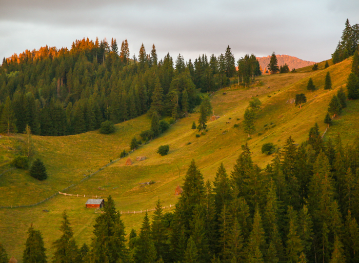 /bistritei/img_2515.jpg