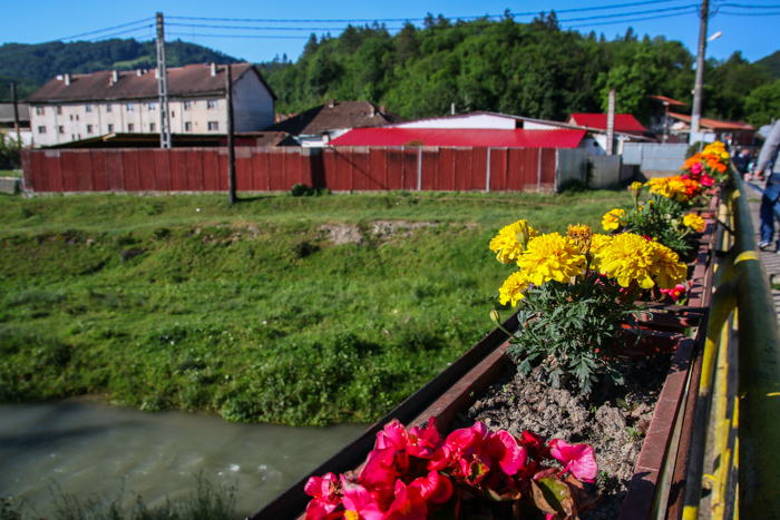 /crovuri/img_0826.jpg