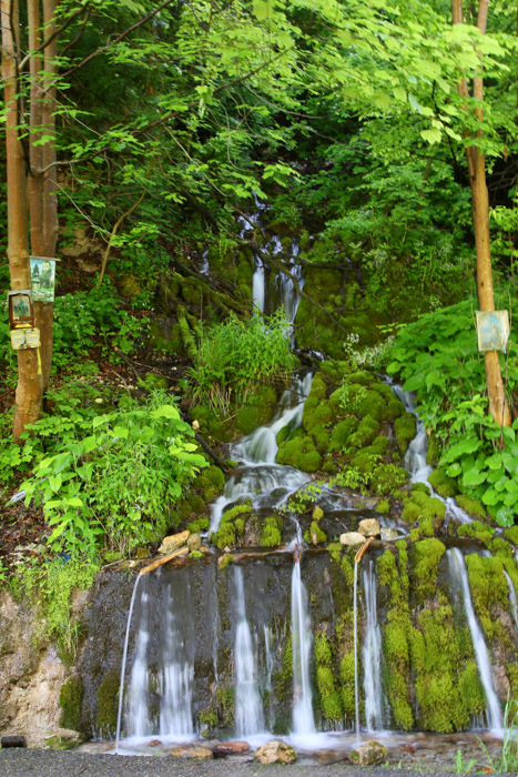 /crovuri/img_0833.jpg