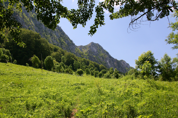 /crovuri/img_0866.jpg