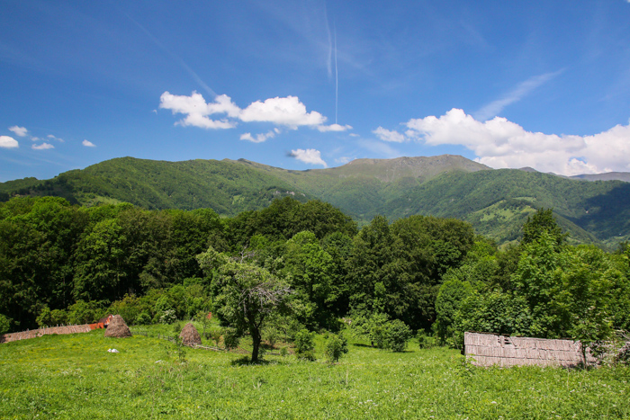 /crovuri/img_0869.jpg