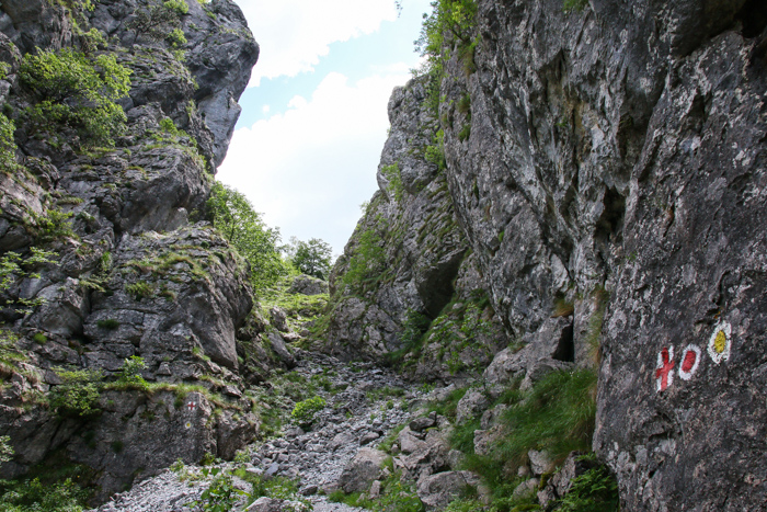 /crovuri/img_0894.jpg