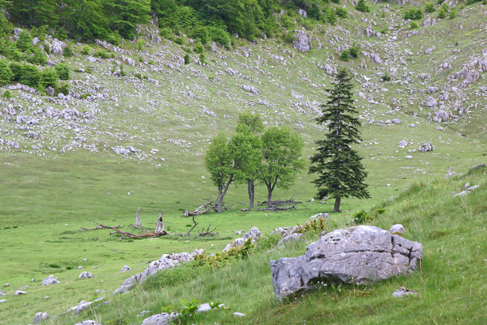 /crovuri/img_0908.jpg