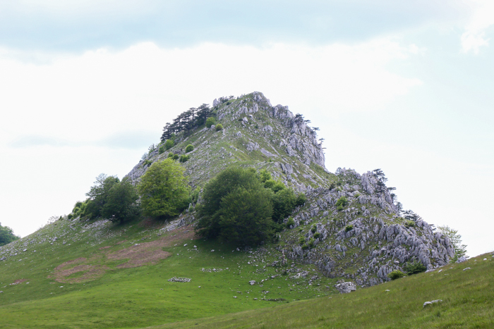 /crovuri/img_0924.jpg