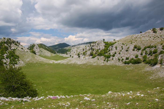 /crovuri/img_0936.jpg