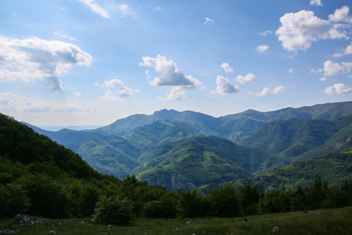 /crovuri/img_0954.jpg