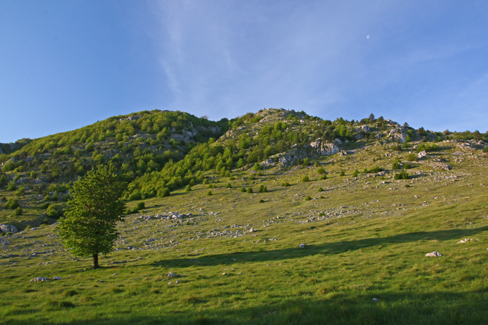 /crovuri/img_1010.jpg