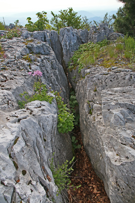 /crovuri/img_1042.jpg