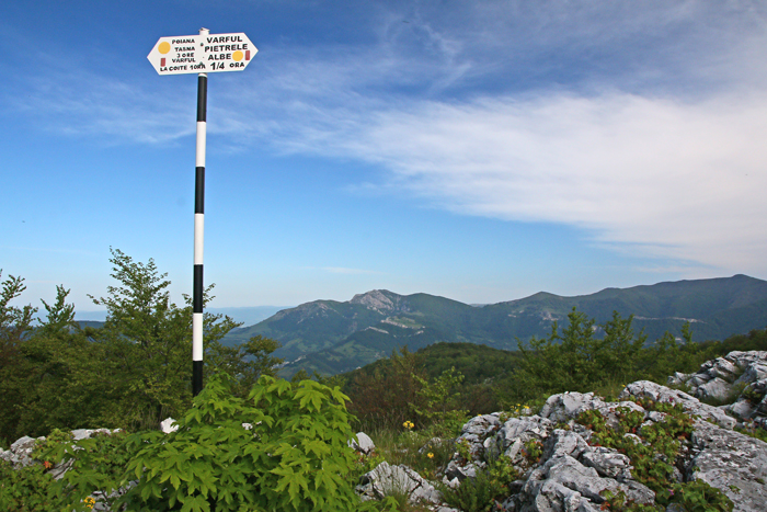 /crovuri/img_1046.jpg