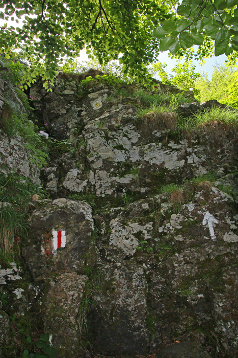 /crovuri/img_1055.jpg
