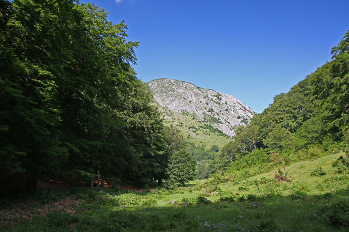 /crovuri/img_1057.jpg