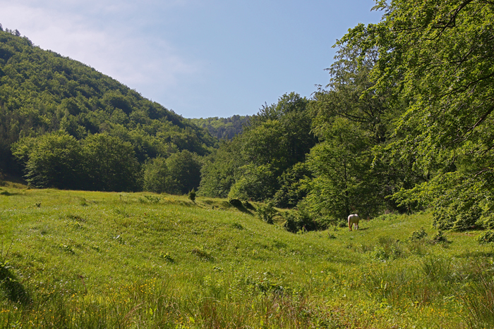 /crovuri/img_1060.jpg