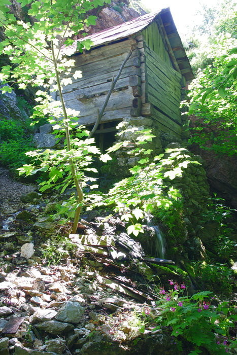 /crovuri/img_1079.jpg