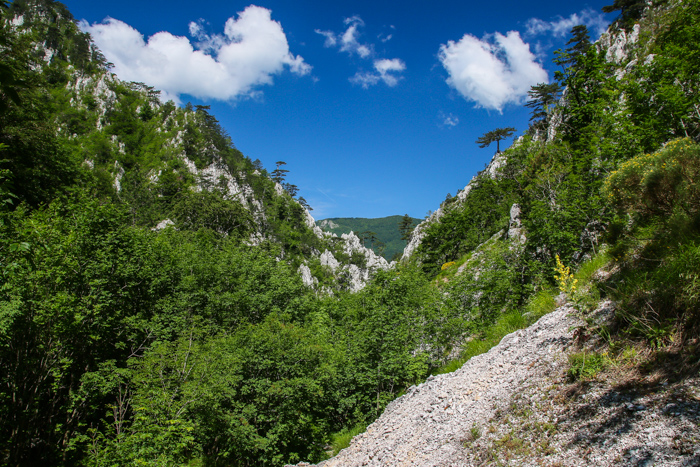 /crovuri/img_1087.jpg