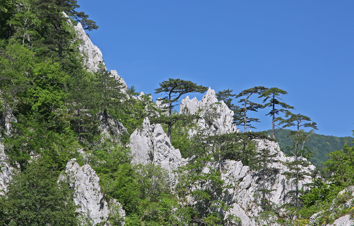 /crovuri/img_1089.jpg