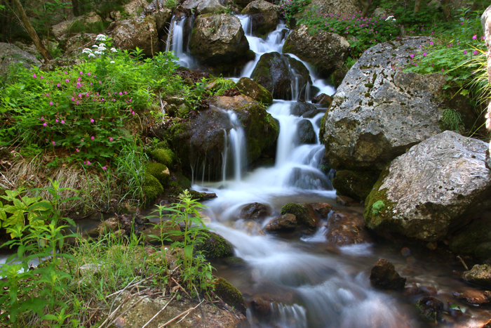 /crovuri/img_1098.jpg