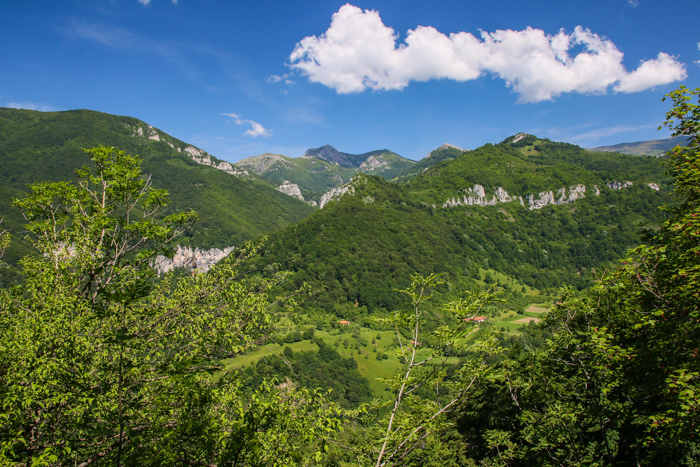 /crovuri/img_1104.jpg