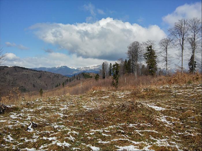/drumul/20150419_104954_hdr.jpg