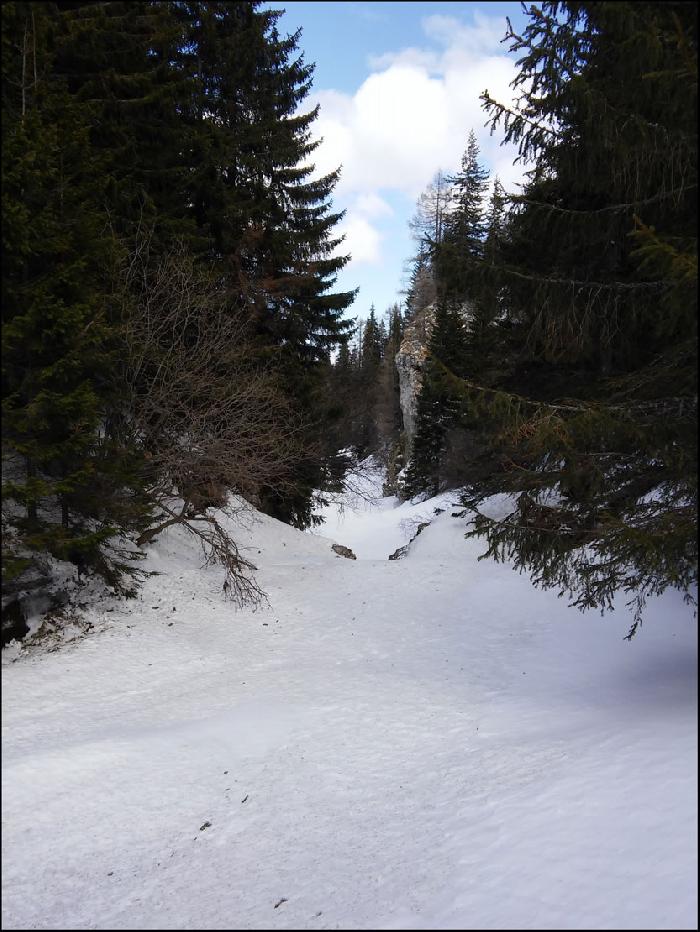 /drumul/20150419_161850_hdr.jpg