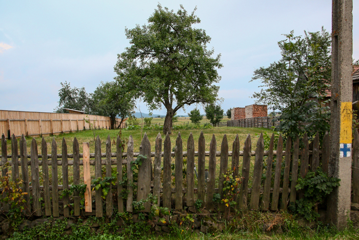/harghita/img_8200.jpg