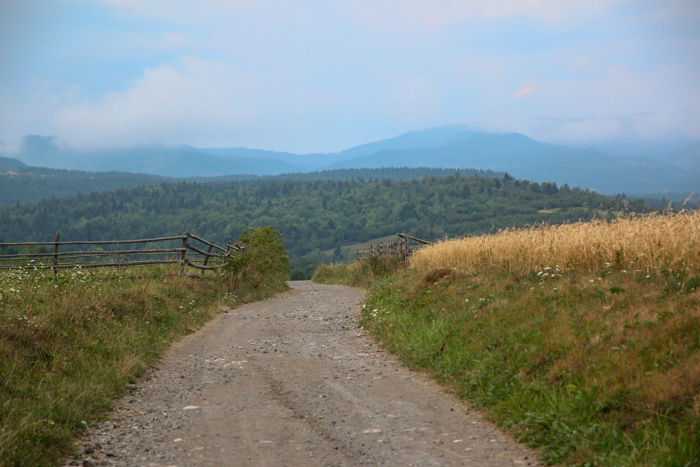 /harghita/img_8201.jpg
