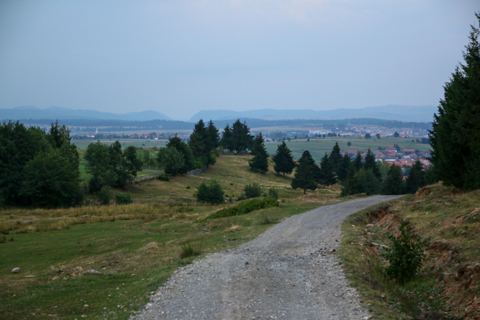 /harghita/img_8203.jpg