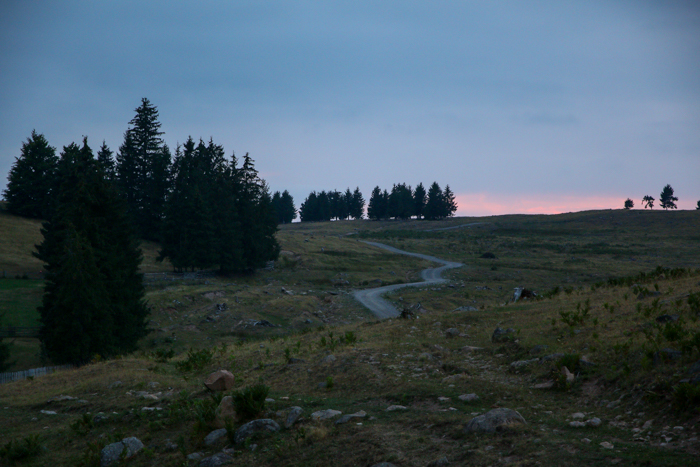 /harghita/img_8204.jpg